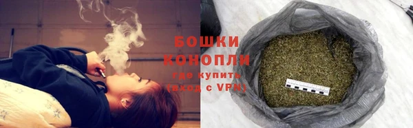 PSILOCYBIN Зерноград